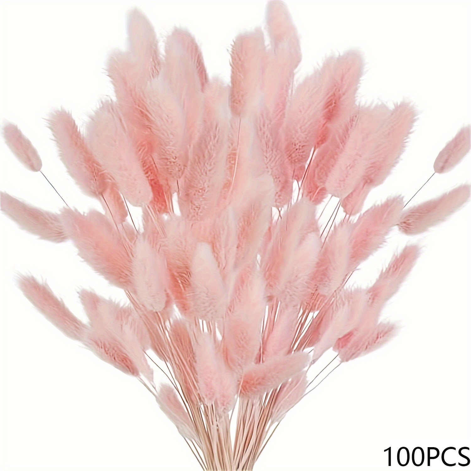 80 pz fiori secchi pampa codice di coniglio mazzo di erba floreale decorazioni per matrimoni conservare foglie di eucalipto canne decorazione vaso per la casa: esercito verde