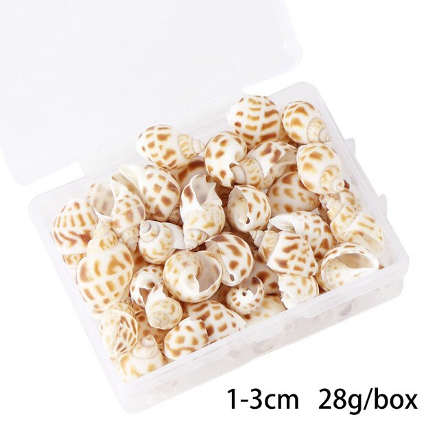 100 PCS Boxed Natural Conch Shells Mini Conch Corn Screw Wall Decoration DIY Aquarium Landscape Seashells Jewelry DIY Craft: Army Green