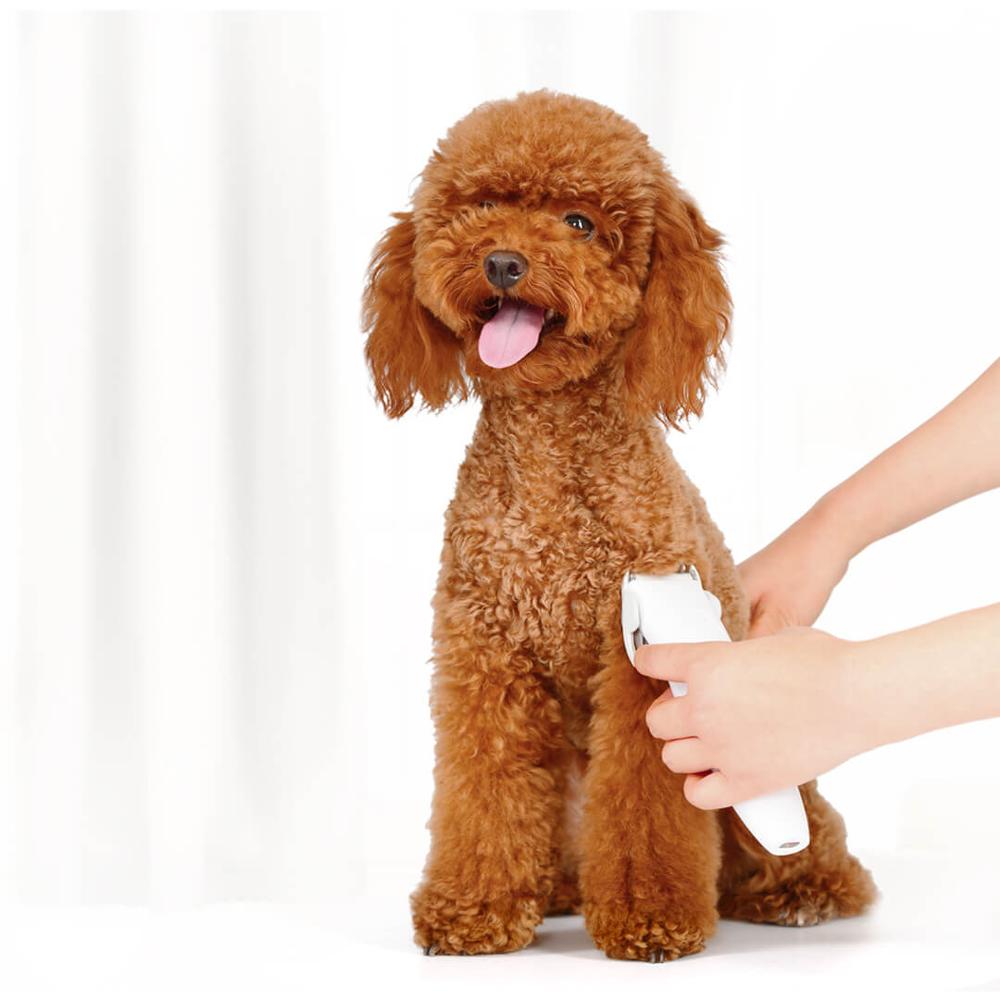 Youpin Pawbby Huisdieren Tondeuses Professionele Pet Grooming Elektrische Haar Tondeuse Oplaadbare Veiligheid Voor Huisdieren