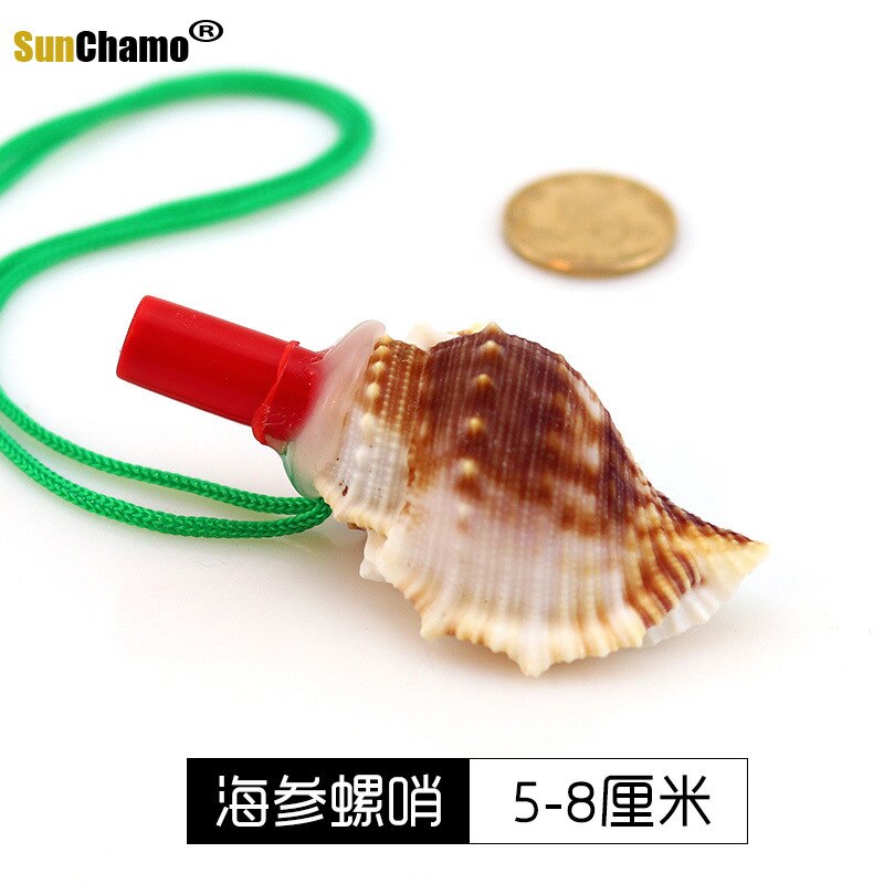 Sunchamo – sifflet de conque naturel, petite coquille de corne caractéristique, jouet artisanal, ornement Micro-paysage, décoration artisanale