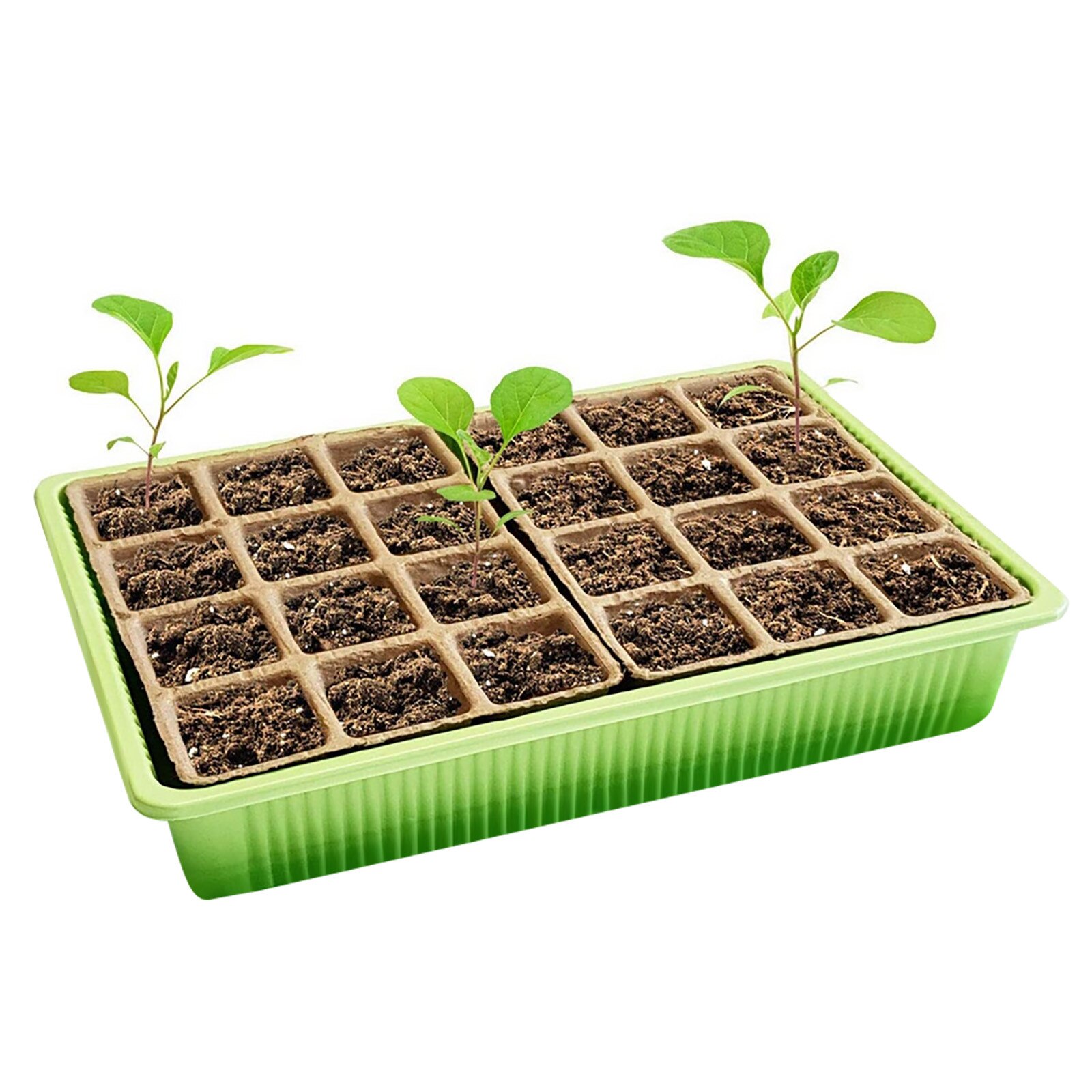 24 Cells Gardening Mini Breathable Lids Plastic Germination Box Nursery Pots Seedling Box Set
