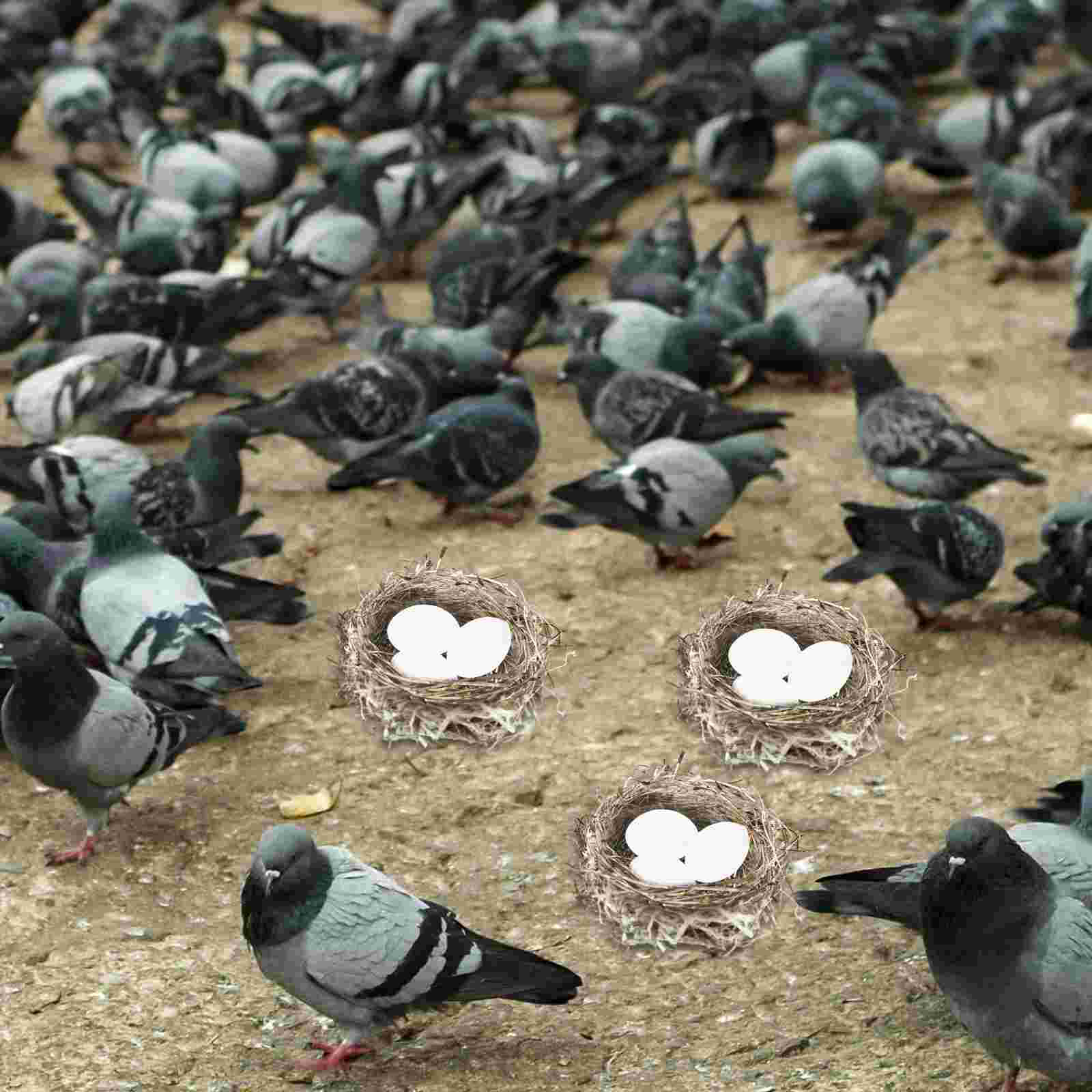 20pcs Lifelike Simulation Pigeon Egg Pigeon Laying Egg Prop Pigeon Breeding Tool
