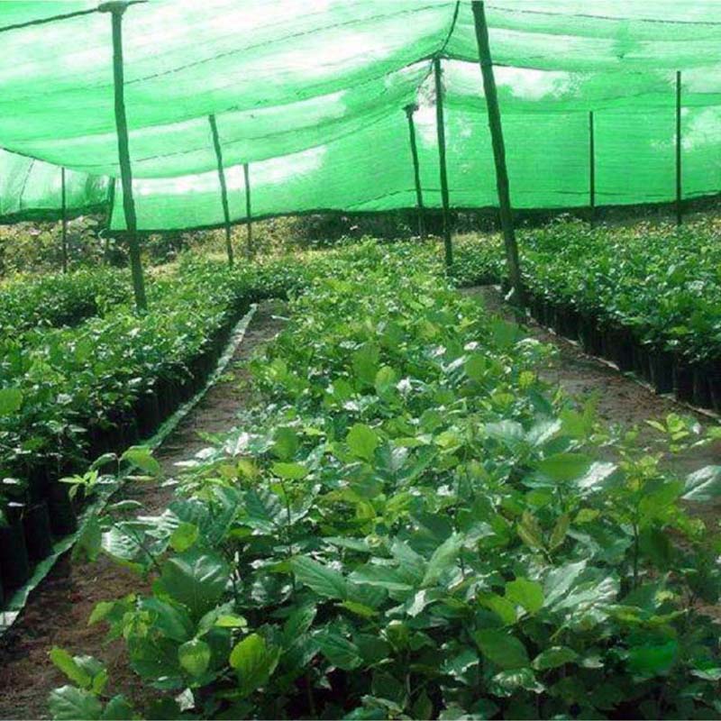Cortina bloqueadora solar de 4x8 m 40% para cubierta de plantas, para invernadero cubierta verde, sombrilla para jardín, Patio, huerto, accesorio DIY