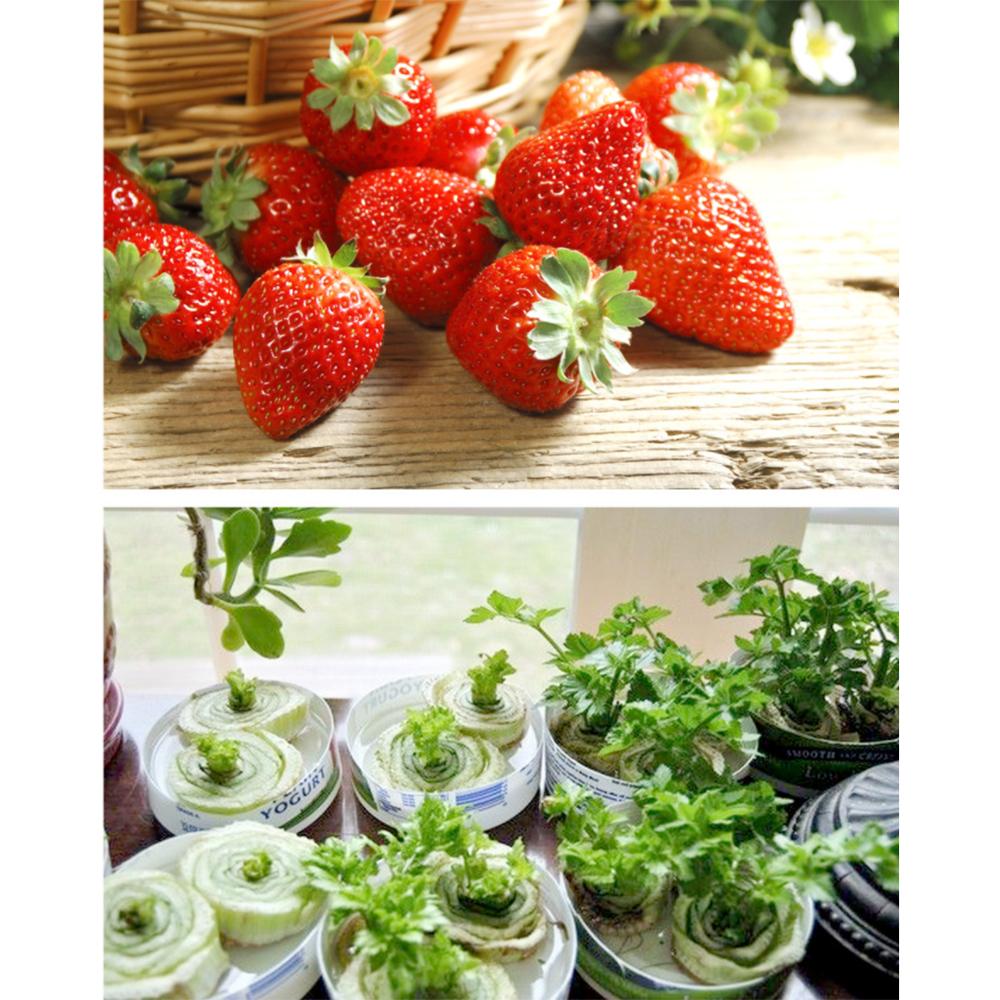 1* led grow lampe 50w 220v 50 led grow light lampe for drivhusplanter hydroponics grønnsaksfrukt