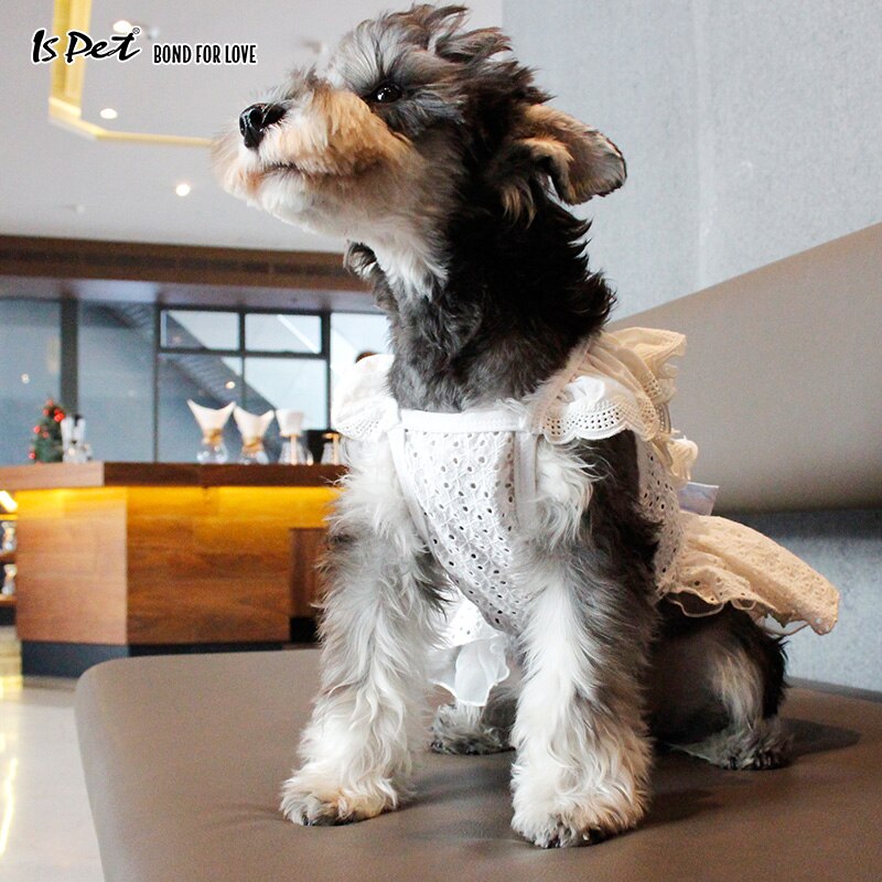 Ropa de perro Francais, tutú para gato, mascota, perro, boda, Blancanieves, vestido de lujo, ropa bonita para perros pequeños, niña, Pomerania Shih Tzu