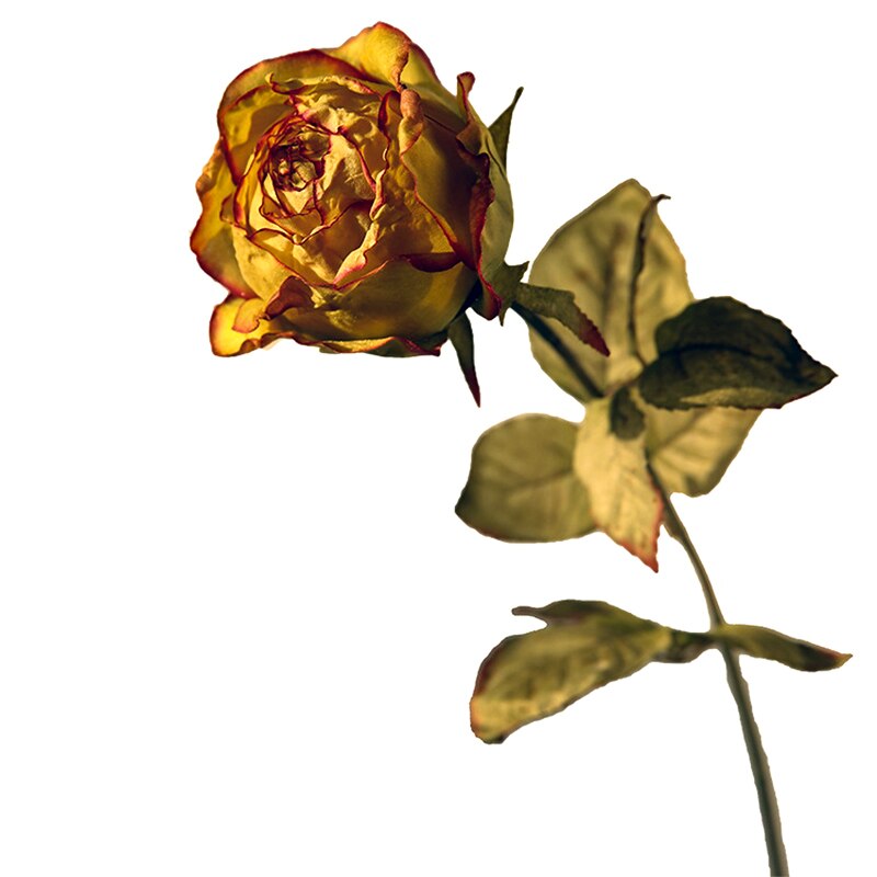 SunMade-Rosas románticas Retro, flores artificiales, decoración para sala de estar, macetas decorativas para boda: Green Red - A