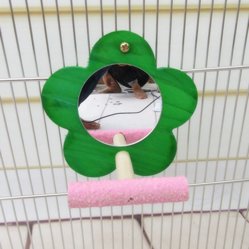 Miroir à perroquet pour oiseaux | Avec personnage pour Conure, Cage à sable, support de broyage de patte, couleur aléatoire 449E