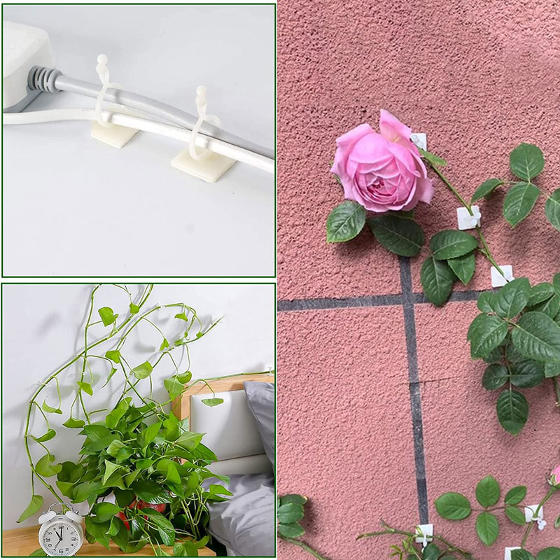 10-30PCS Plant Climbing Wall Fixture Clips Self-Adhesive Vines Holder Fixture Garden Plant Wall Vines Fixture Wall Sticky Hook