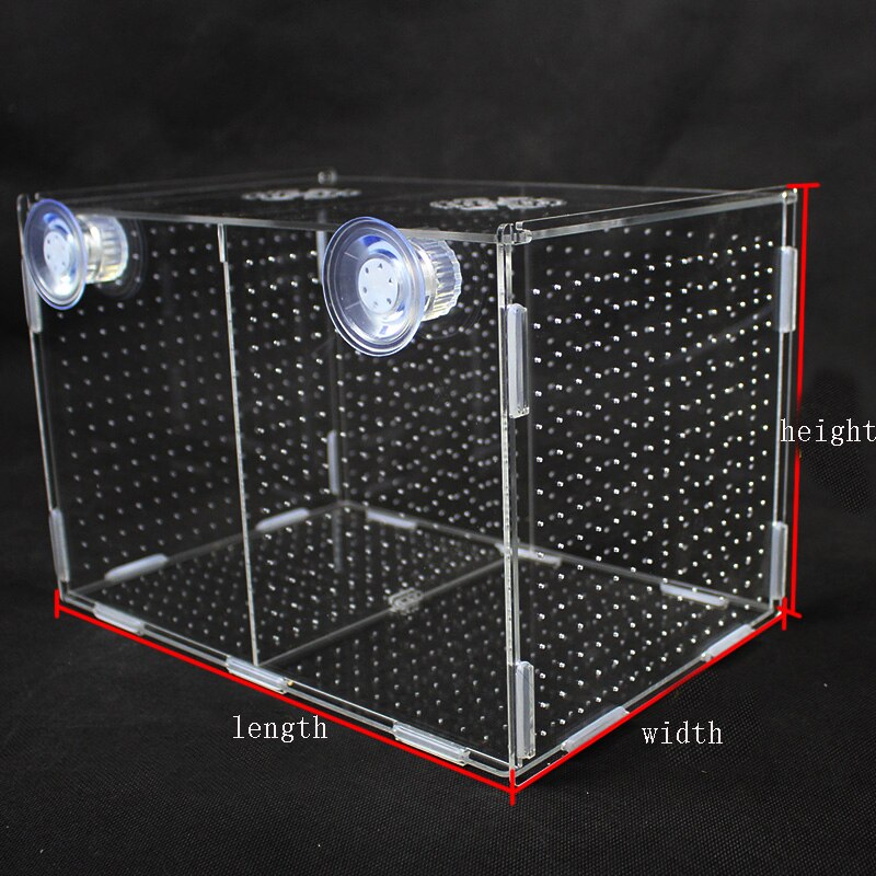 Caja de aislamiento para acuario, recipiente acrílico para incubar peces, 1 unidad: 20x10x10cm s