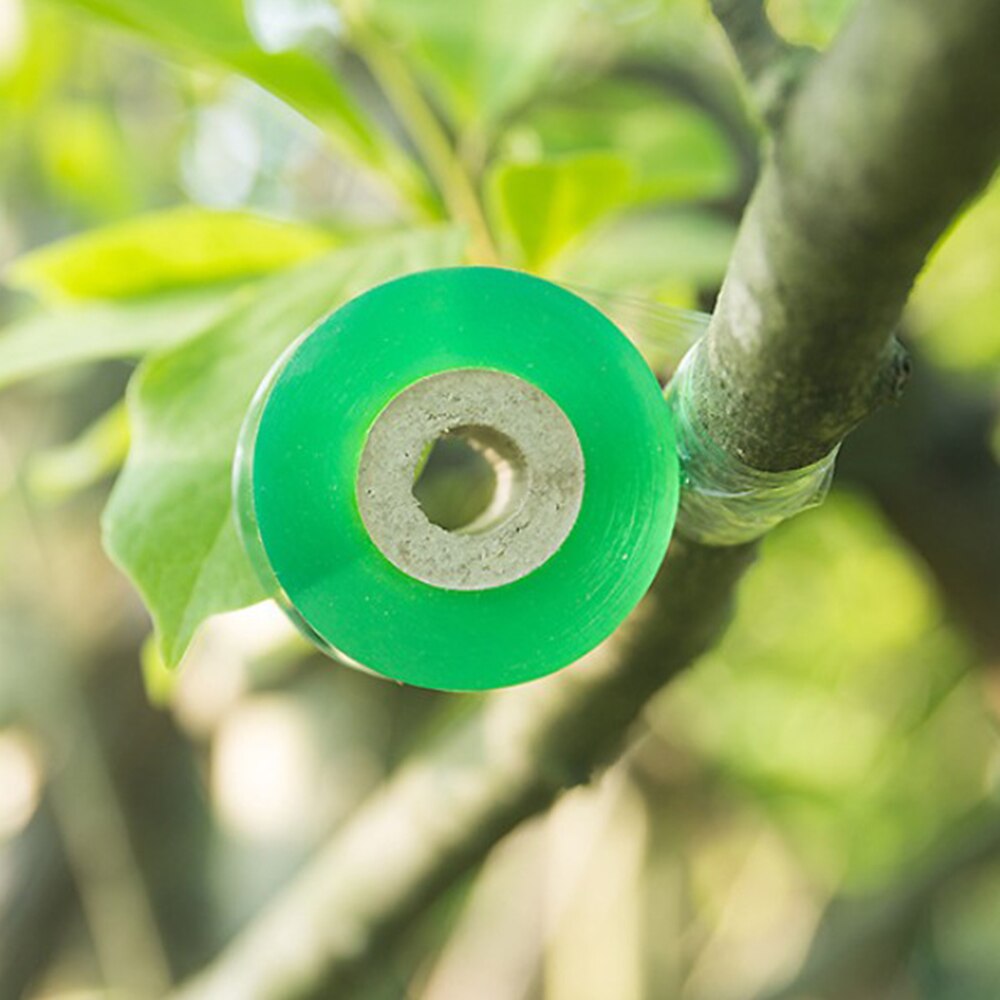 Vendaje para Injerto de árboles frutales, película elástica autoadhesiva sin nudo de encuadernación, película para injertos, 3cm