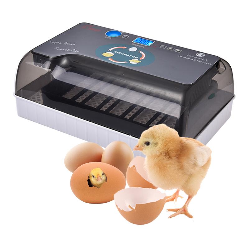 Automatic egg incubator automatic brooder Intelligent Digital Egg turning over incubators 12 eggs hatching For Chicken Poultry