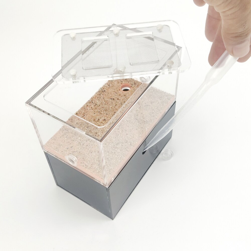 DIY Antgranery Foaming Concrete Feeding Area Acryl Ant Farm Ants House Birthday Feeding Area For Home