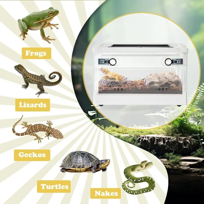 Reptilien-Zuchtgehäuse, Käfige, transparente Amphibien-Lebensraumbox, Reptilien-Futterbox aus Kunststoff für Eidechsen, Bartagamen