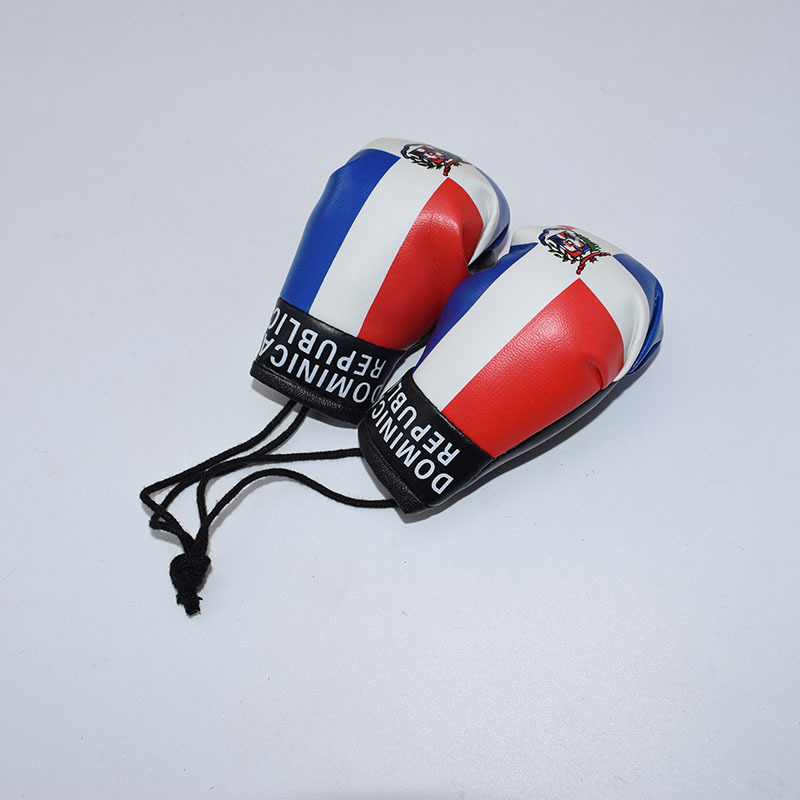 Albanien Schlüsselanhänger Boxhandschuhe Schlüsselanhänger Männer Anhänger Boxspiel Flagge Handschuhe Mini Auto Tasche Anhänger Sport Schmuck Zubehör: Lila