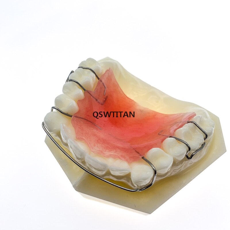 Hawley Retainer Teeth Model Bionator Removable for... – Vicedeal