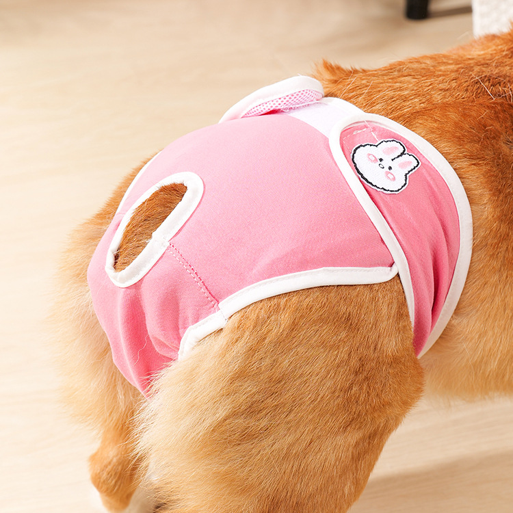 Suporte de almofada menstrual para cães, respirável, calcinha para cães pequenos e médios, calças menstruais femininas para animais de estimação com para mulheres: XL / Branco