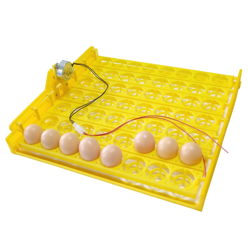 Incubadora automática de 56 huevos, 7*8 orificios, incubadora de pollos, patos y otras aves de corral, huevos, aves de corral, equipo de incubación