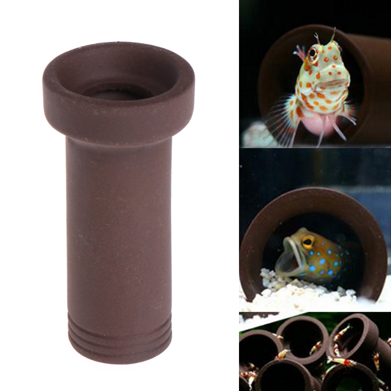 Awesome Aquatic Lot de 3 pièces en bois de cholla/choya naturel de 15.2 cm pour habitat de crevettes, cachettes et jouets à mâcher pour reptiles sans épines, séchés biologiques