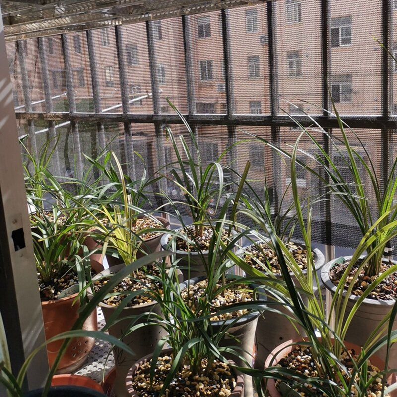 Hi Black HDPE Anti-UV Sun Shading Net Balcony Fence Sun-proof Garden Courtyard Sunblock Succulent Plant Sunshade Net