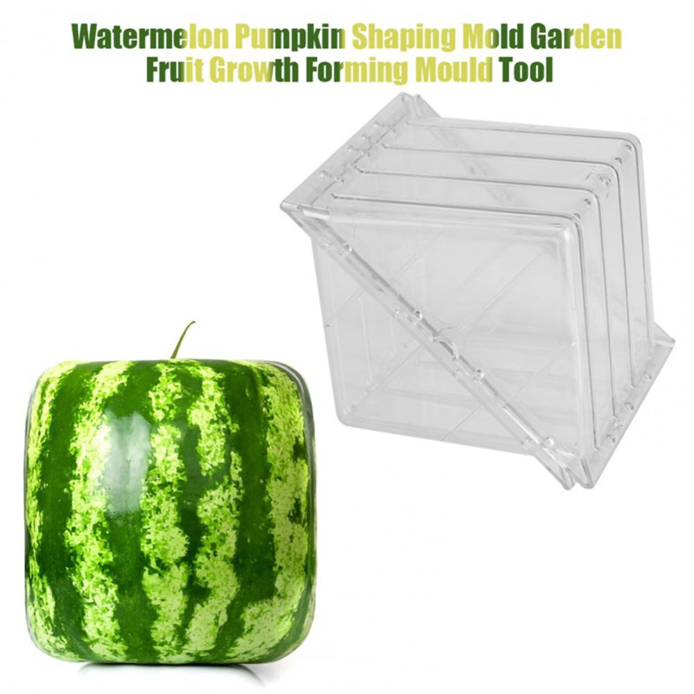 Moule à pastèque carré en plastique en forme de cœur, moule Transparent pour fruits