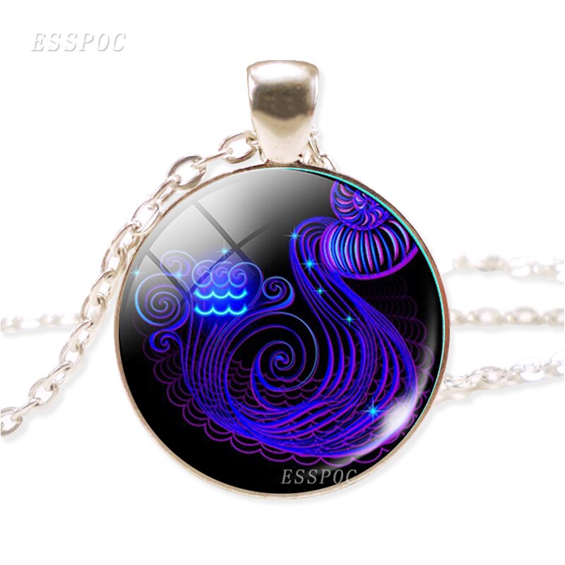 Twelve Constellation Chain Necklace Glass Alloy Zodiac Sign Pendant Necklace Charm Jewelry for Women: Aquarius