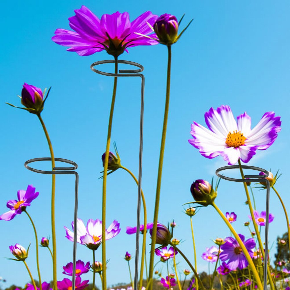 Plant Support Stakes Single Stem Plant Support Ring for Plant Support for Amaryllis Tomatoes Orchid Lily Peony Rose Flower Stem