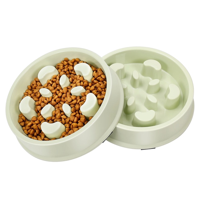 Illustration of Slow Feed Dog Bowls For Preventing Eating Disorders