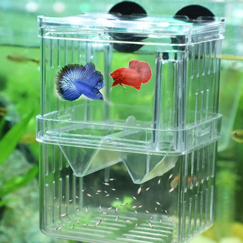 A9LB Fokken Tank Voor Aquarium Kleine Vis Fry Isolatie Box Broederij Dozen Voor Tropische Vissen Clear Dubbele Lagen