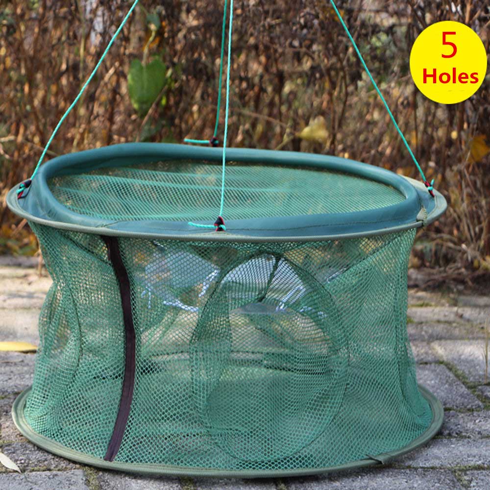 Piège à pêche automatique trou à mailles, piège à poissons, crevette, méné, crabe, appât moulé à deux couches, 5 6 7 8 trous: 5