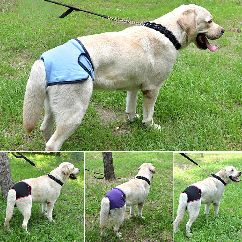 Weibliche Waschbar Physiologischen Hosen Magie Aufkleber Wiederverwendbare Hund Windel Zubehör Hause Haustier Atmungsaktiv Hohe Saugfähigen Flexible