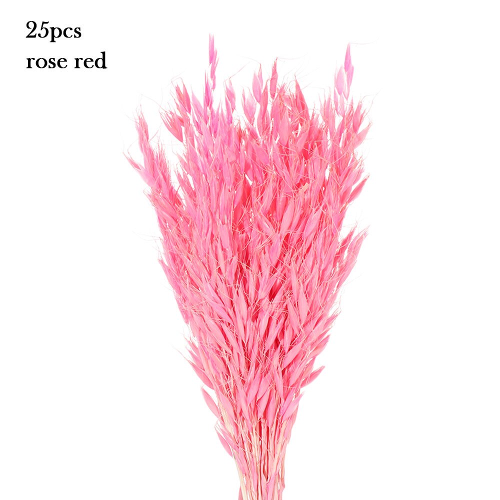 15/25 sztuk trzciny naturalne pszenicy kwiat bukiet suszone Pampas ślubny kwiat bukiet bukiety Bulrush dla Home Decor materiały ślubne: 25PCS-rose red