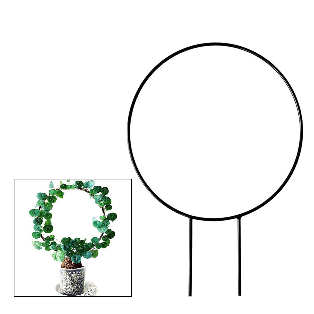 Metal Vine Climbing Plant Ivy Flower Trellis Potted Plants Planter Indoor