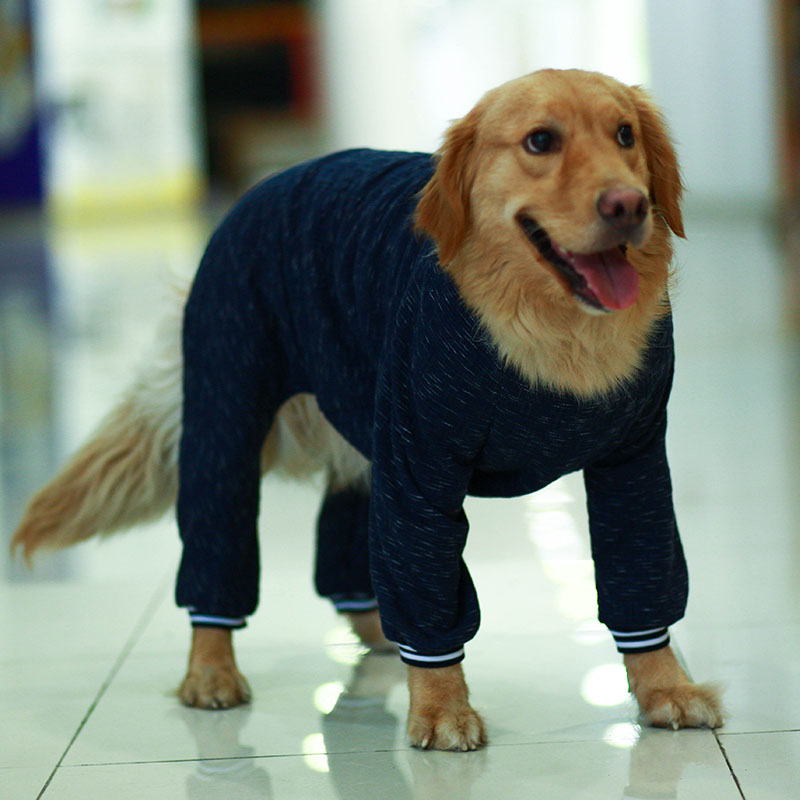 Lemmikkikoiran vaatteet talvi iso iso koira asu haalari pyjamat corgi kultainennoutaja husky labradorinkoiran haalarit lemmikin puku takki
