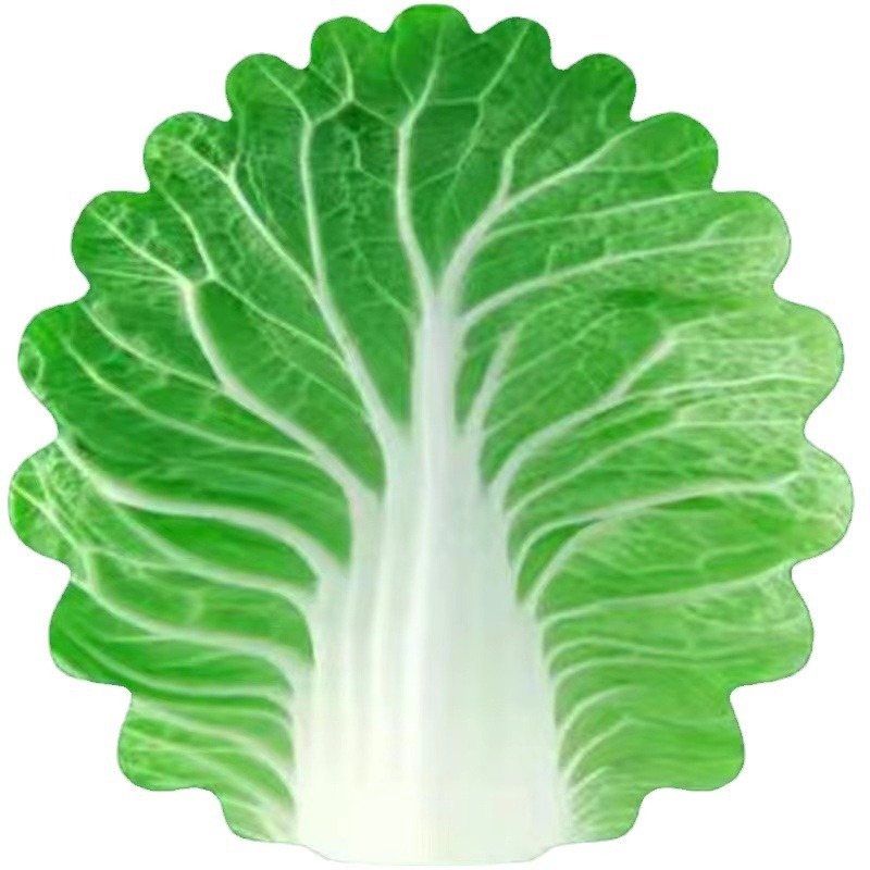 kooldeken, Chinese kool, leuke informele woonkamer, decoraties, creatieve schattige babydekbedden, kindercadeaus