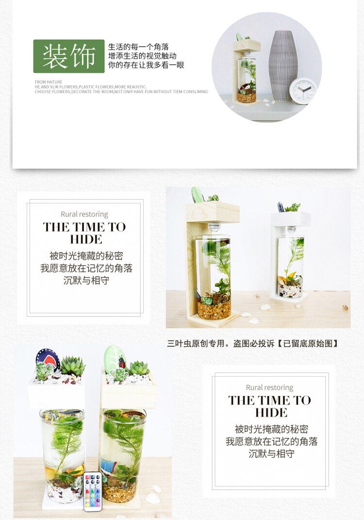 Desktop Fish Tank Home Desk Ecological Microscopic Fleshy Thai Aquarium Plastic