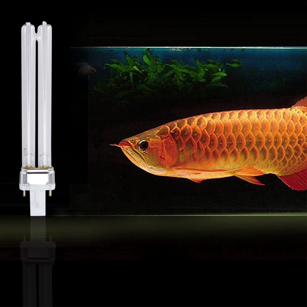 2 stk. 11w lamper uv-pærer til akvarium ( (g23 lampeholdere) uv-sterilisator uv-lampe