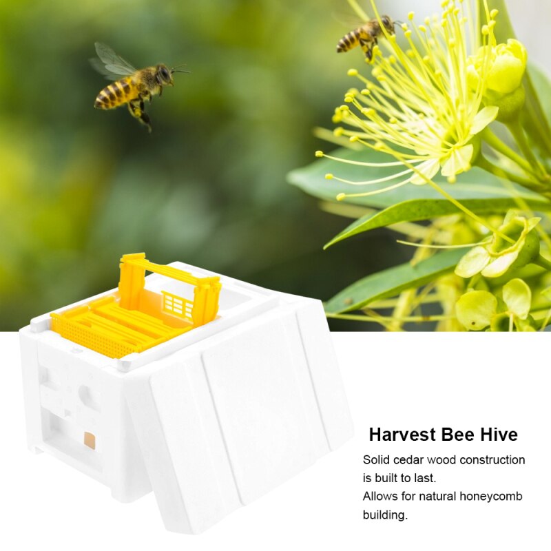 1Pcs Outdoor Garden Harvest Bee Hive Box Beekeeping King Pollination Box Beekeeping Tool Home Hive Box Beekeeping Equipment