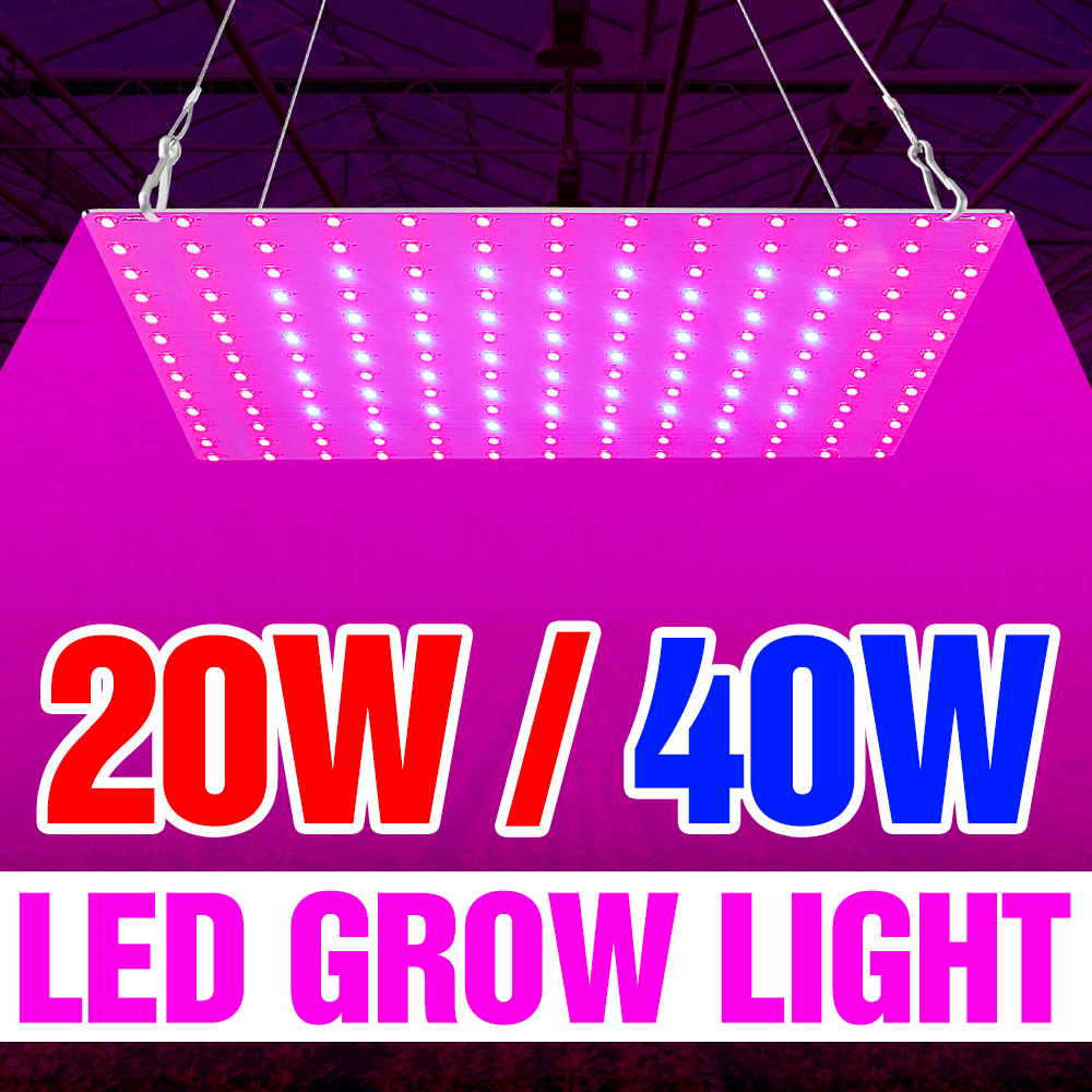 20W 40W Phytolamp Led Full Spectrum Led Licht Groeien Plant Groei Lamp 220V Kas Zaailing Fito Licht led Bloem Zaad Lampada