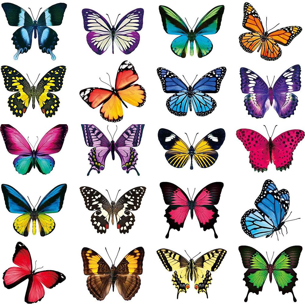 20PCS Butterfly Window Stickers Beautiful 3d Butterfly Wall Decor Anti-collision Window Clings Decals for Home Parlour Bathroom
