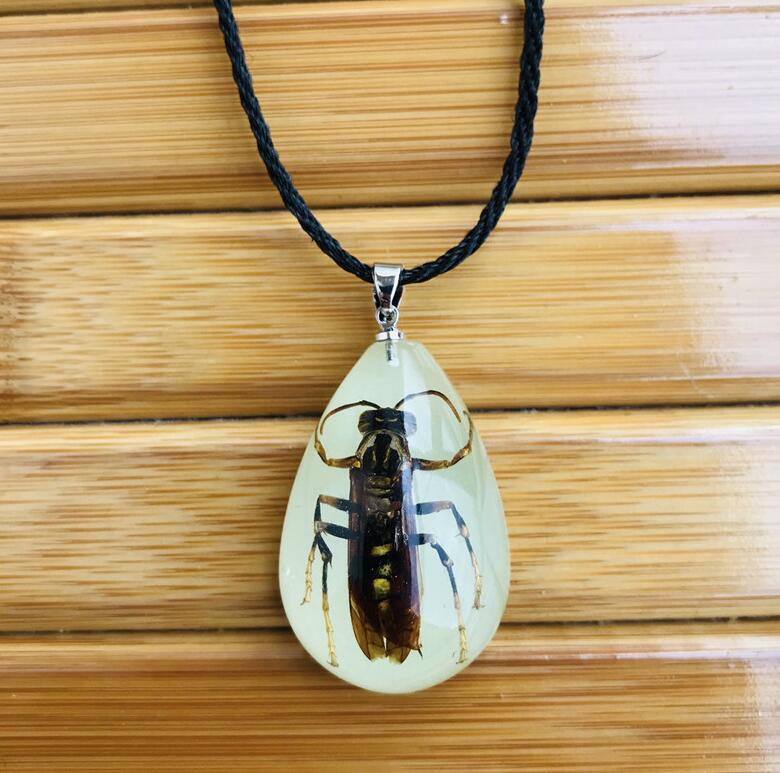 Resin Insect Charms Necklace Luminous Insects Amber Pendant Rope Necklaces Scorpion Ant Stalls Manufacturers: K6301-3