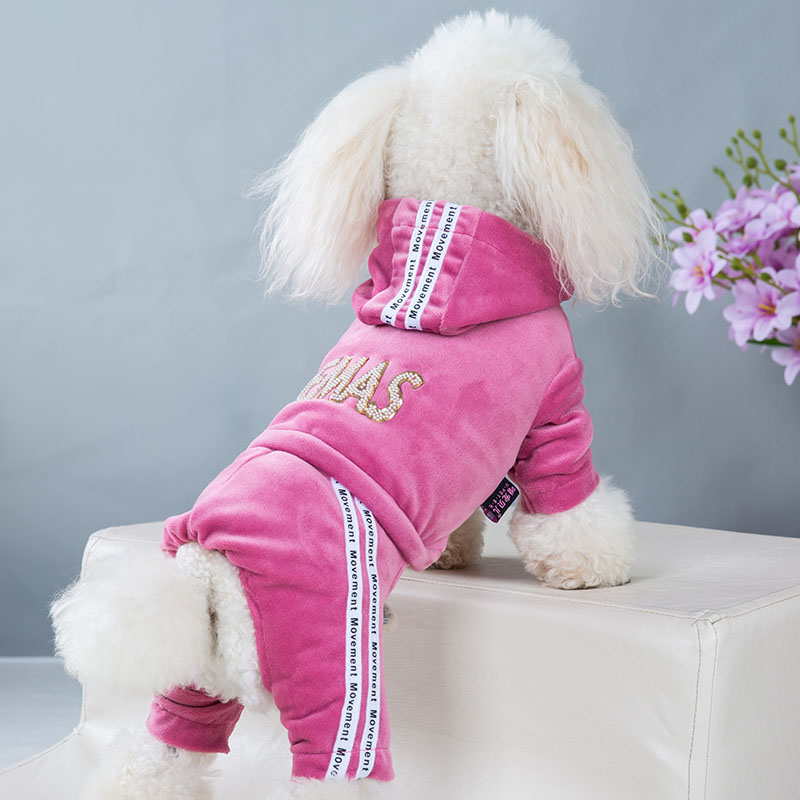 Dog Clothes for Small Dogs Cat Warm Winter Pet Clothing Soft Velvet Overalls Puppy Girl Hoodies Jumpsuit Sweatshirt Chihuahua: XL / Pink
