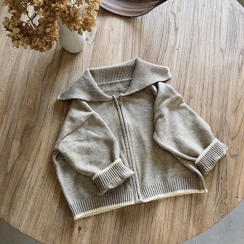 Enfants automne grand revers Cardigan chandails enfant en bas âge garçons et filles à manches longues infantile décontracté couleur unie fermeture éclair manteau hauts: oat / 100cm