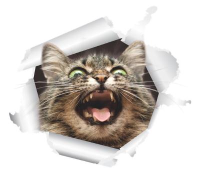 1 Piece 3D Cat Stickers, Family Wall sticker Decals, Window, Bedroom, Bathroom, Bath Seat Decor, Kitchen Accessories: HM014199