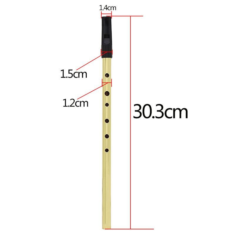 Irlandzki gwizdek irlandia flet gwizdek cyny gwizdek klucz D grosz gwizdek 6 otworów flet pieśniarz mini kieszeń instrument muzyczny złoty