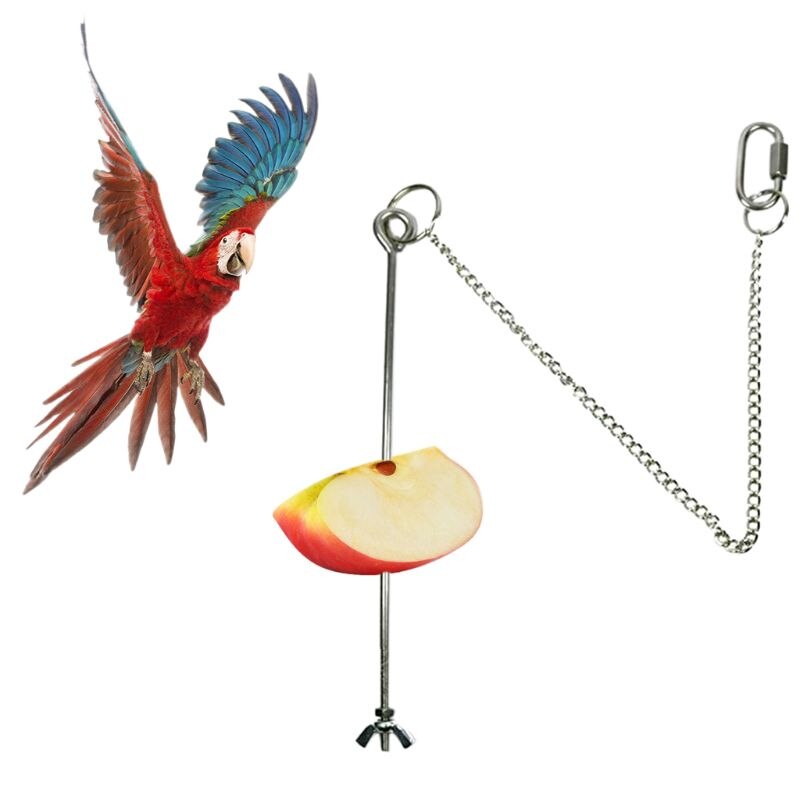 2 Pinchos De Acero Inoxidable Para Loros | Soporte Para Frutas Y Verduras | 12 Cm Y 20 Cm