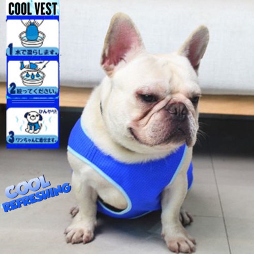 Perro de verano chaleco de refrigeración transpirable de abrigo azul chaleco camiseta ropa refrescante genial ropa para perros ropa para mascotas