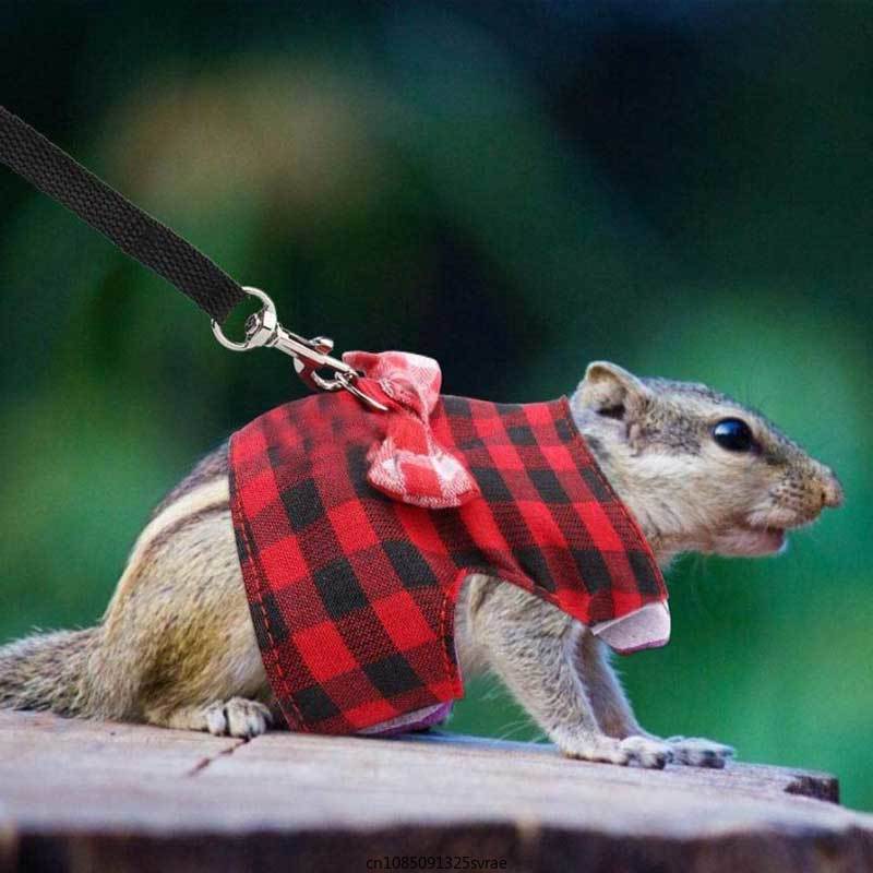 Lille kæledyrs kanin sele vest og snor sæt til ilder marsvin bunny hamster hvalp bue knude sele til kæledyr forsyninger