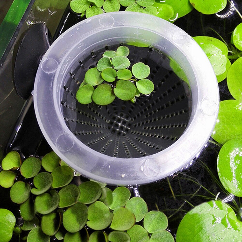 Højde 6.7cm akvariekurv feeder fiskefoder levende orm blodorm engle kegle foderværktøj dia 6.8cm