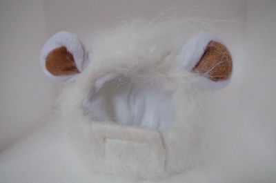 Perruque pour chien et chat, 1 pièce, , accessoire d&#39;émulation, cheveux de Lion, crinière, couvre-chef, Costume, foulard, automne et hiver: WHITE