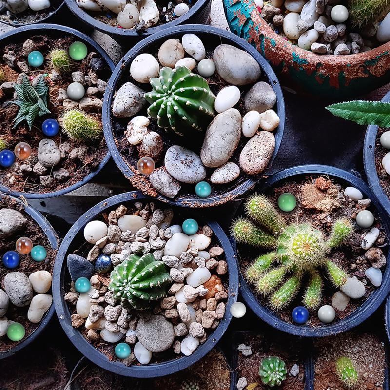 50Pcs Colorful Glass Balls Glass Marbles Toys Lovely Fish Tank Glass Ball Decors
